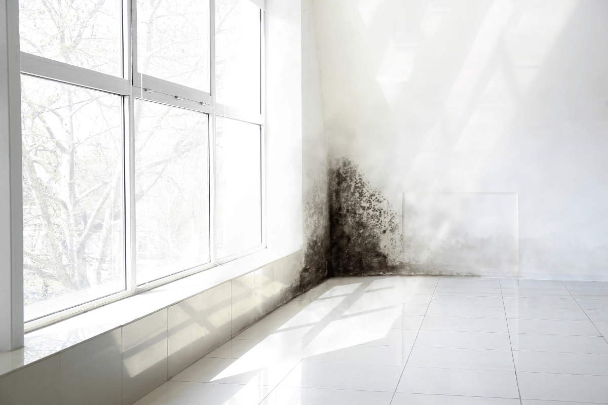 Maison humide causes et solutions efficaces avec Climatix